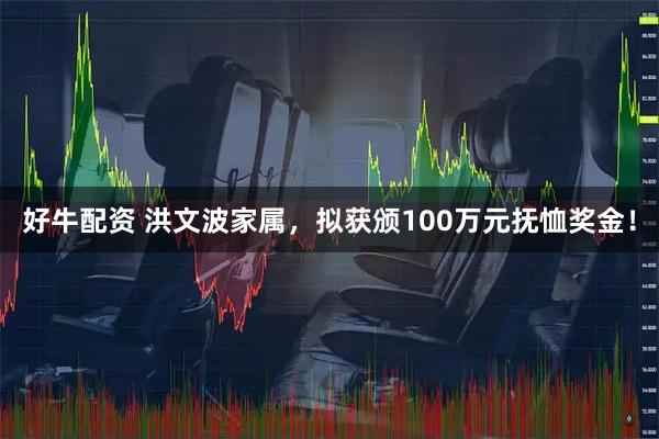 好牛配资 洪文波家属，拟获颁100万元抚恤奖金！