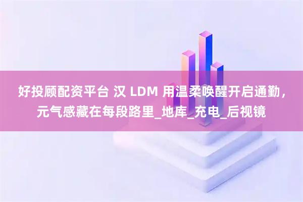 好投顾配资平台 汉 LDM 用温柔唤醒开启通勤，元气感藏在每段路里_地库_充电_后视镜