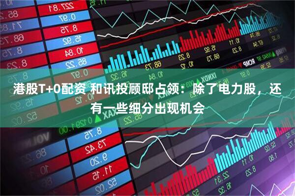 港股T+0配资 和讯投顾邸占领：除了电力股，还有一些细分出现机会