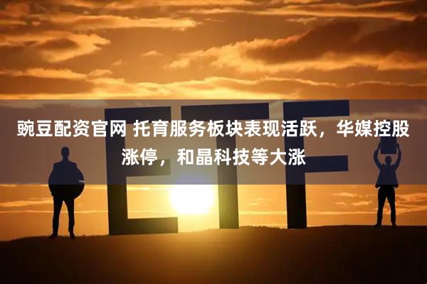 豌豆配资官网 托育服务板块表现活跃，华媒控股涨停，和晶科技等大涨