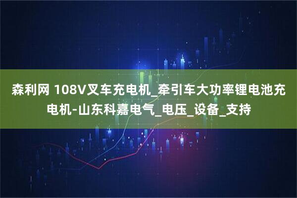 森利网 108V叉车充电机_牵引车大功率锂电池充电机-山东科嘉电气_电压_设备_支持