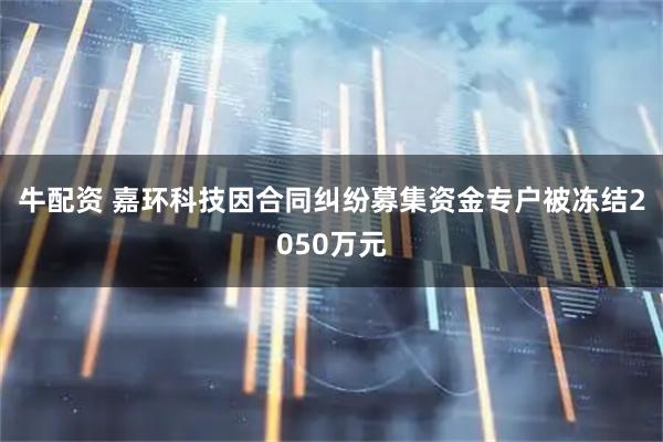 牛配资 嘉环科技因合同纠纷募集资金专户被冻结2050万元